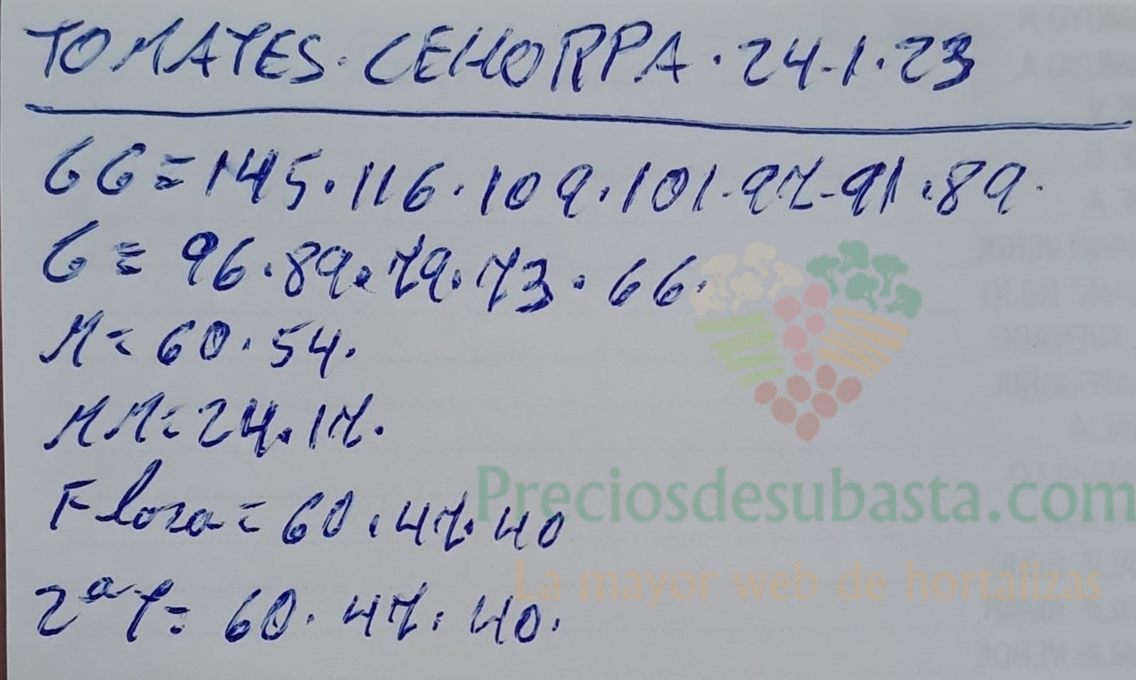 Subasta hortofrutícola Costa de Almería Cehorpa tomate 24 de enero 2023