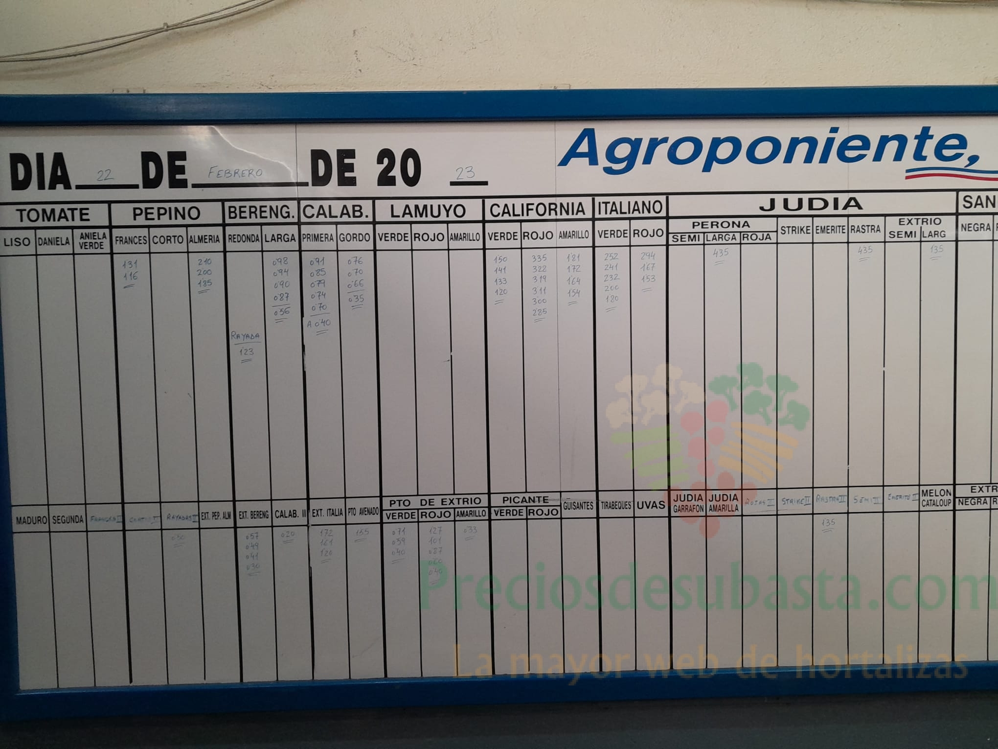 Subasta hortofrutícola Agroponiente El Golfo 22 de febrero 2023