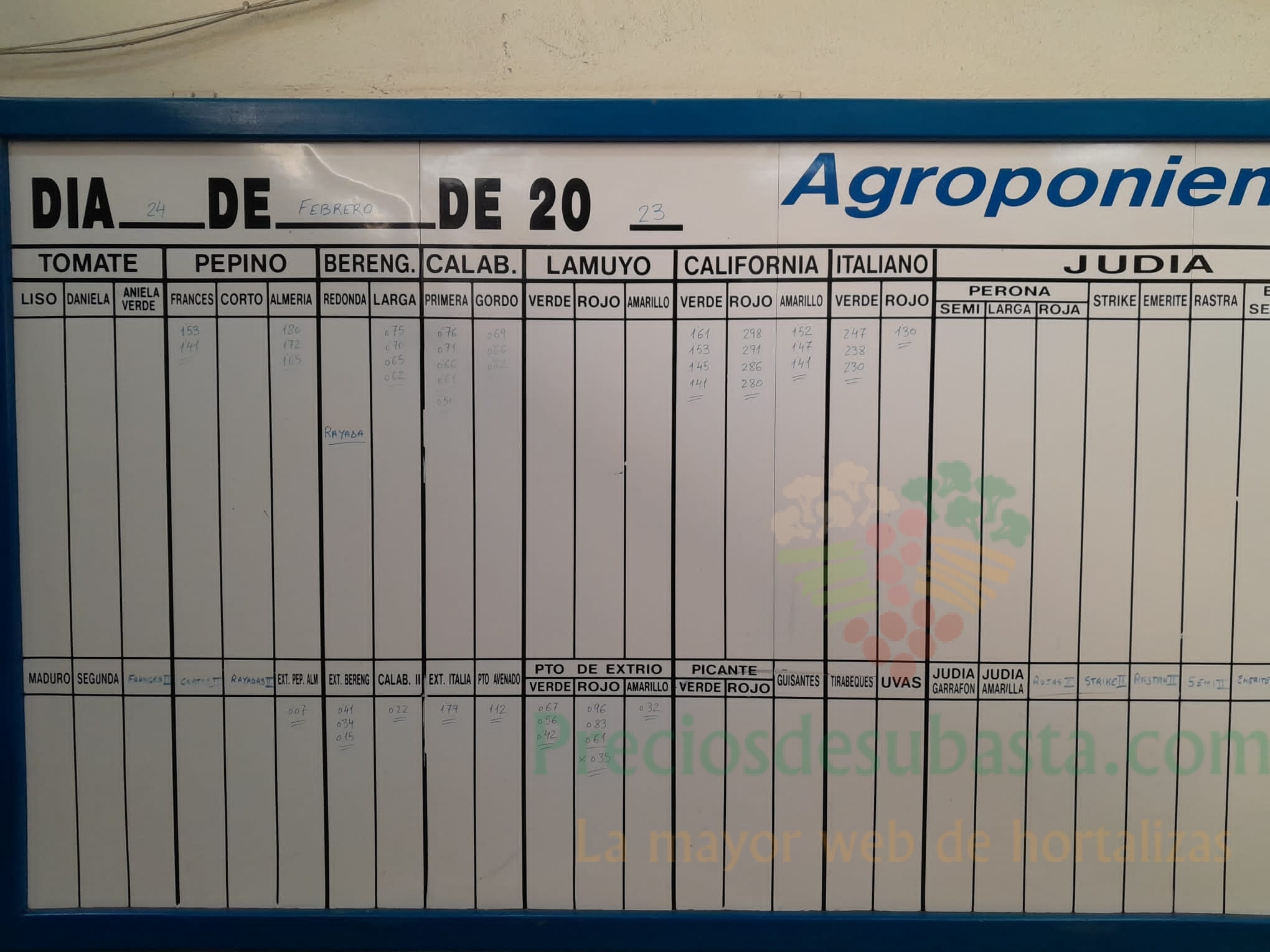 Subasta hortofrutícola Agroponiente El Golfo 24 de febrero 2023