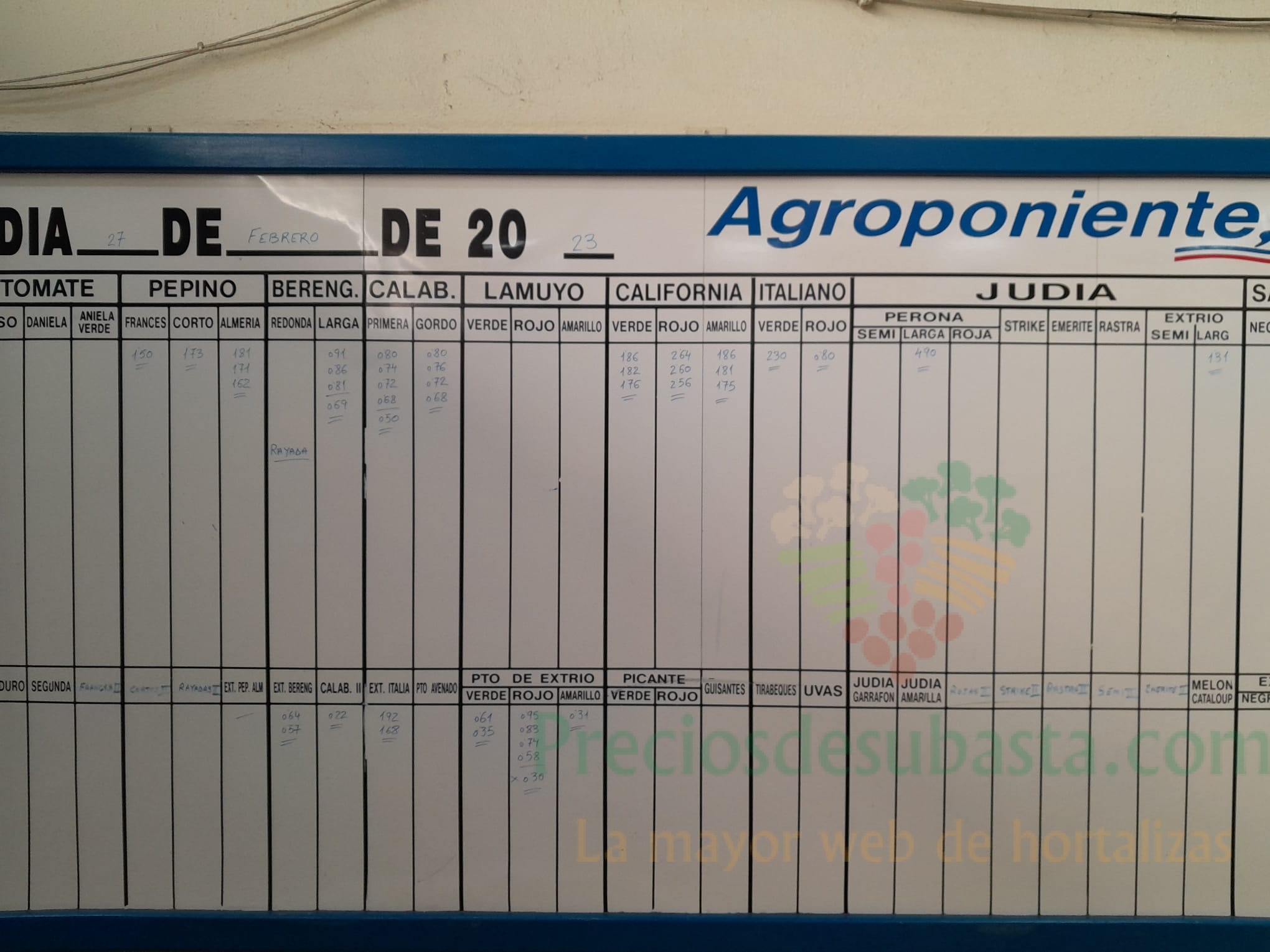 Subasta hortofrutícola Agroponiente El Golfo 27 de febrero 2023