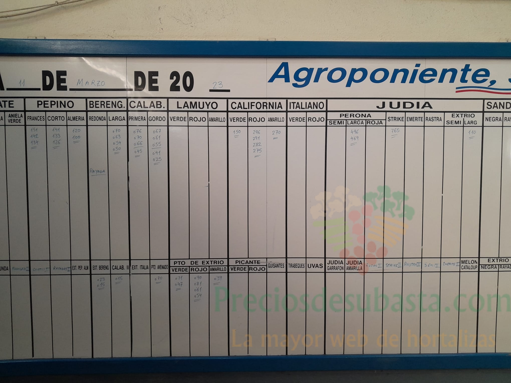 Pizarra Agroponiente El Golfo 11 de marzo 2023
