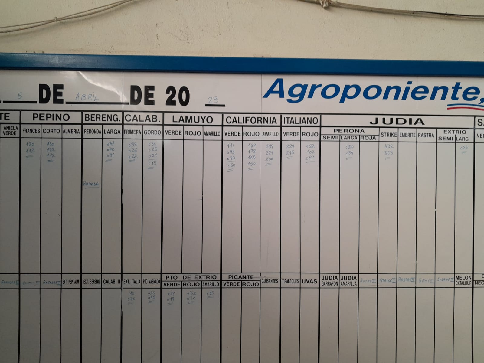 Subasta hortofrutícola Agroponiente El Golfo 5 de abril 2023