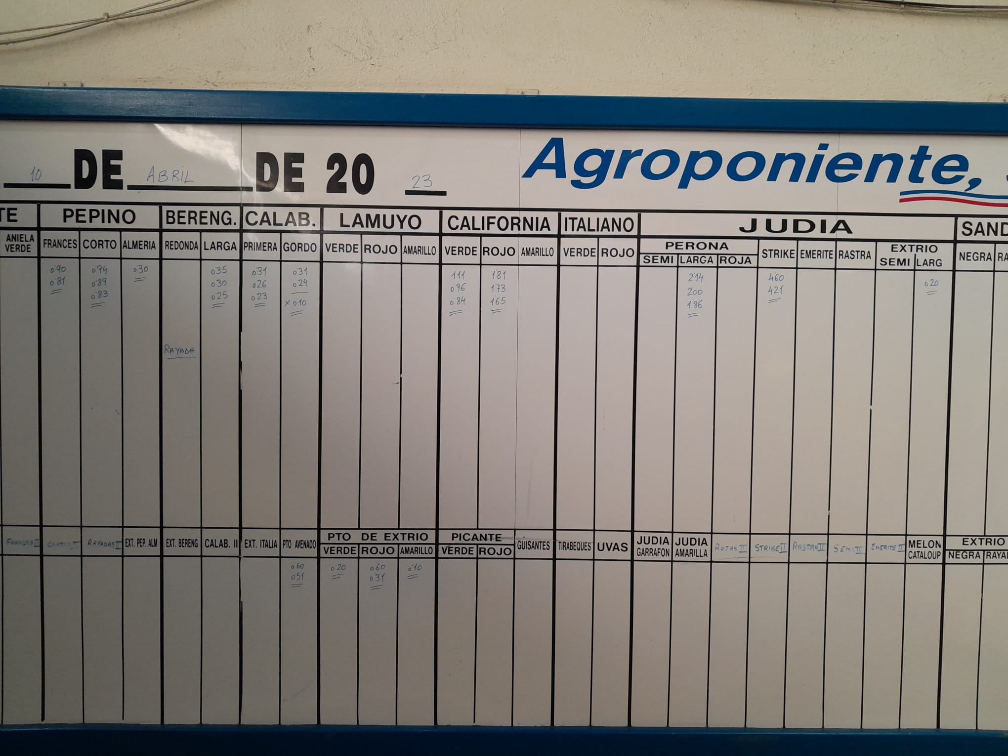 Subasta hortofrutícola Agroponiente El Golfo 10 de abril 2023