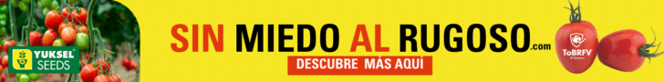 sin miedo al rugoso