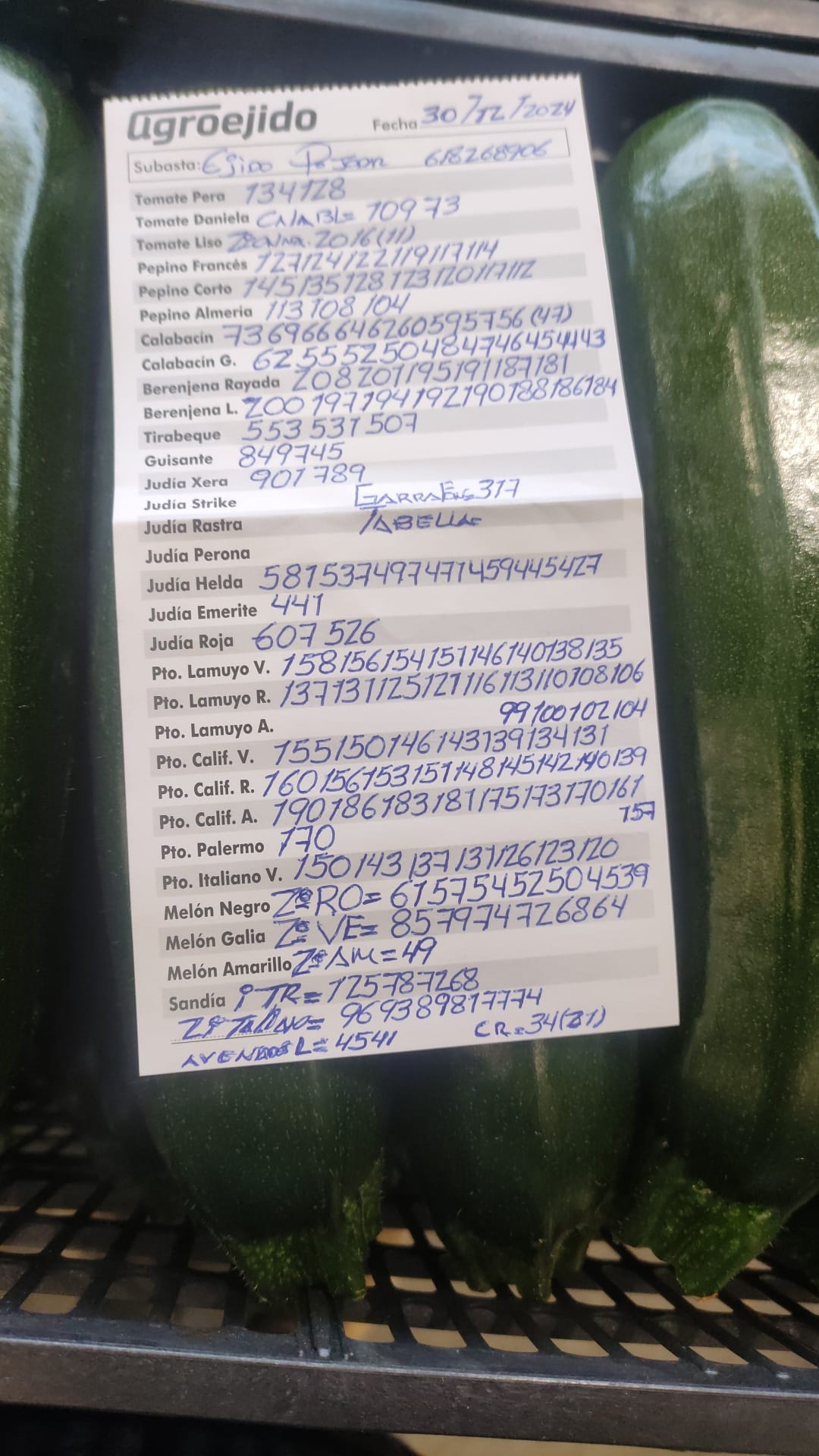 Subasta hortofrutícola AgroEjido El Ejido 30 de diciembre 2024